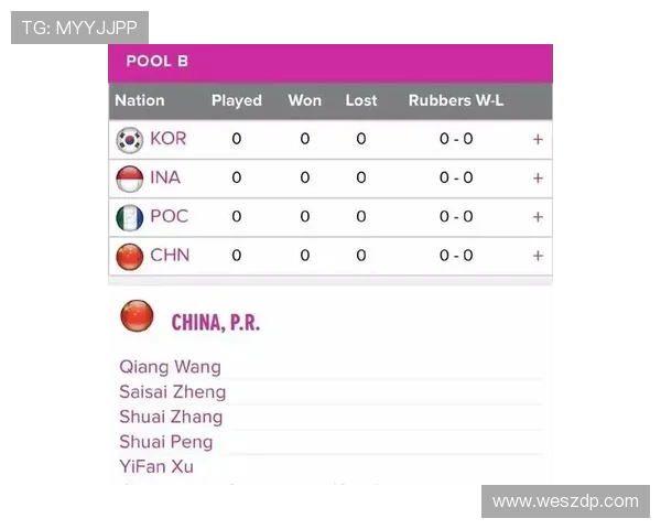 杭州网球队在联合会杯中的个人能力展现与战术分析