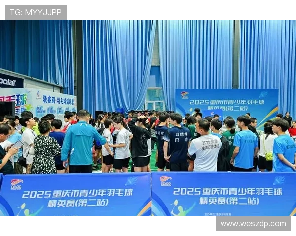 羽毛球意识排行榜揭晓重庆羽毛球队荣登第七位引发热议