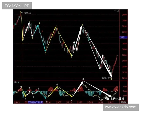 南京排球队包夹战术深度解析与实战应用探讨